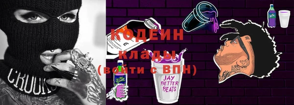 мяу мяу кристалл Гусь-Хрустальный