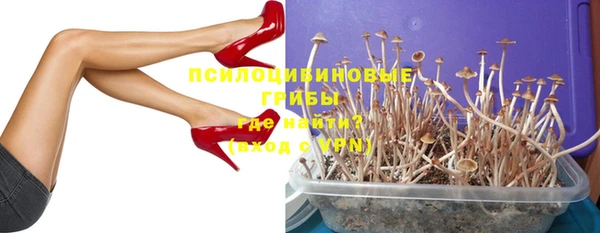 мяу мяу кристалл Гусь-Хрустальный