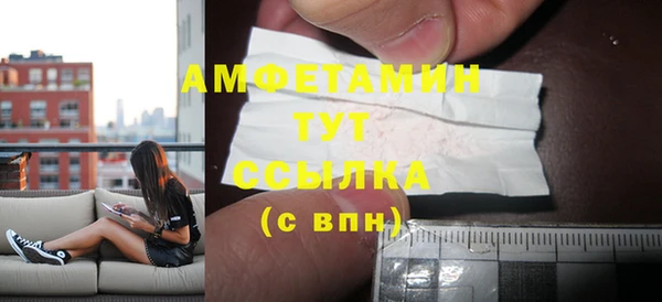 молекула духа Павловск