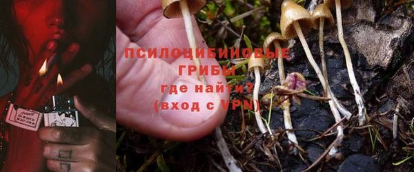мяу мяу кристалл Гусь-Хрустальный
